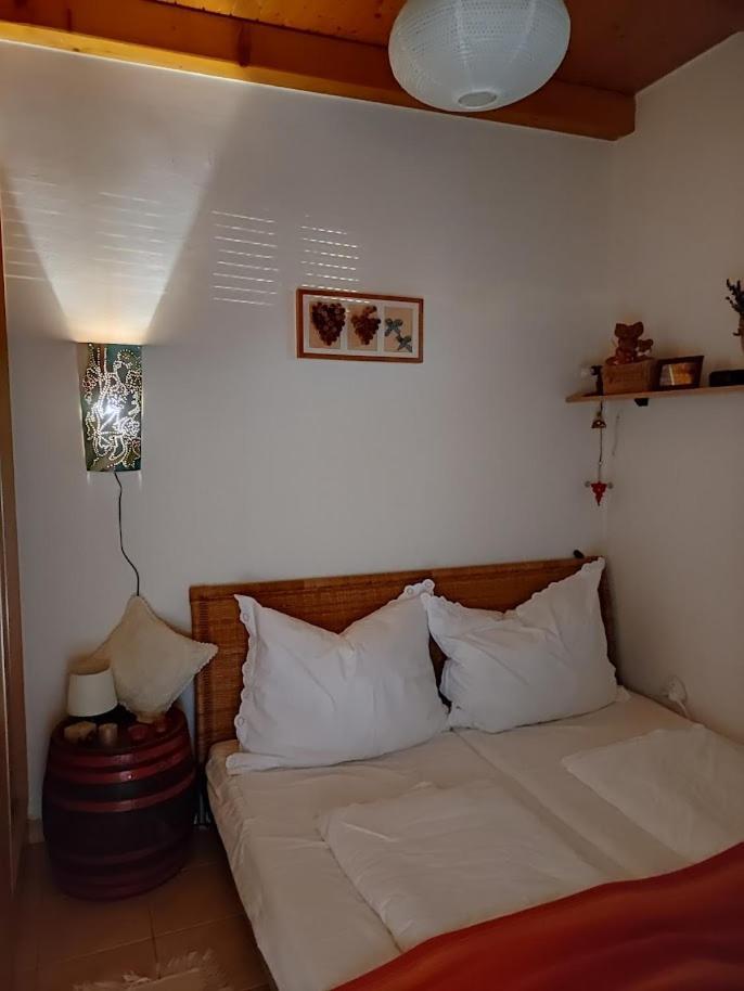 Szolohegyi Haziko - Cottage In The Vineyard บาลาตอนเซเมช ภายนอก รูปภาพ