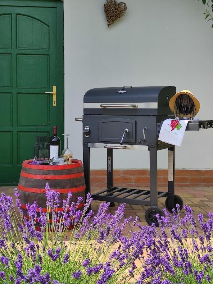 Szolohegyi Haziko - Cottage In The Vineyard บาลาตอนเซเมช ภายนอก รูปภาพ
